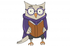 Wacky Owls | 10 images | Clip art illustrations | PNG/JPEG Product Image 6