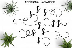 Angelina Script Product Image 10