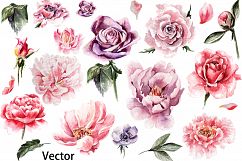 HandDrawn Watercolor Bundle FLOWERS2 Product Image 19