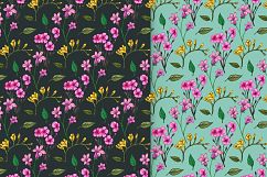 Drawn Flower Patterns and Elements Product Image 12