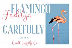 Fadelyn - Font Duo Product Image 12