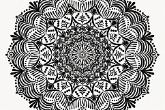 Lace-pattern_02 Product Image 1