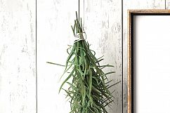 Styled Stock Photography,  Frame mockup, PSD Styled Photography Mockup, stock photo Product Image 3