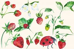 Watercolor Strawberry Clip art Product Image 4