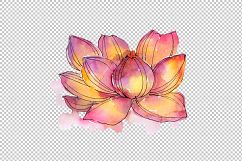 Aquarelle lotus flowers PNG set Product Image 1