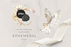EPHEMERAL contemporary watercolor design set Product Image 1