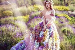 135 Natural Sun Light Photo Overlays Product Image 6