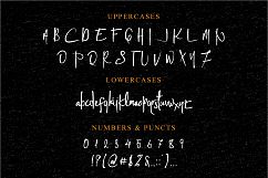 Cashy Allen Typeface Product Image 4