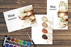 Rice. Watercolor collection Product Image 6