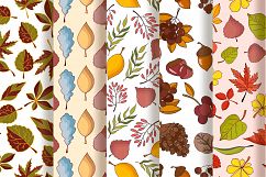 Autumn Patterns Collection - vector illustration Product Image 5