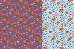 Drawn Flower Patterns and Elements Product Image 6