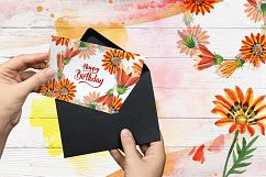 Cool orange gazania PNG watercolor set Product Image 6