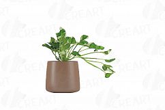Leafy plants clip art collection, Watercolor plants in pot Product Image 7