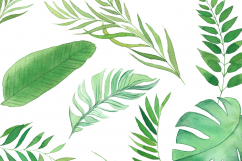 Tropical GREEN Wave Product Image 10