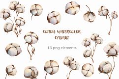 Watercolour Cotton clipart, branches winter watercolor Product Image 1