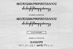 Ethammov Brush Product Image 9
