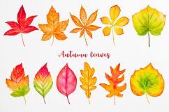 Fall collection. Watercolor. Product Image 5