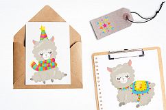 Alpaca party graphics and illustrations Product Image 4