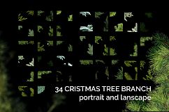 51 Christmas Tree Brunch Overlays Product Image 10