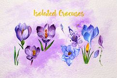 Blue and purple crocuses PNG watercolor set Product Image 7