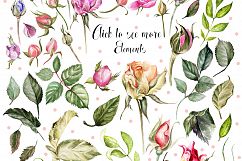Hand Drawn Watercolor ROSES BUNDLE Product Image 4