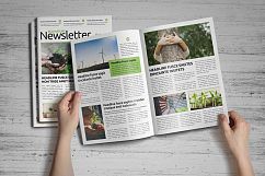 Newsletter Design v5 Product Image 10