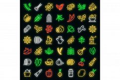 Condiment icons set vector neon Product Image 1