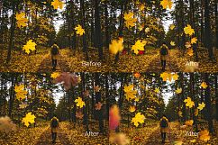 97 Autumn Leaves Photo Overlays Product Image 5