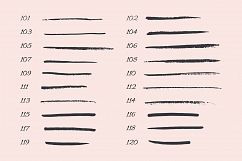 120 Illustrator Brushes Product Image 8