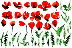 Poppy flowers watercolor set. Product Image 2