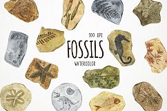 Watercolor Fossils Clipart, Fossils Clip Art, Fossil Clipart Product Image 1