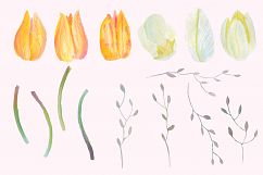 Floral Design Pack (watercolor &amp; pastel) Product Image 9