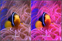 Dive Fix &amp; HDR LUTs Product Image 8