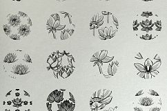 Lotus illustrations and seamless patterns Illustrations  Product Image 5