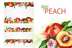 Peaches. Watercolor collection Product Image 6