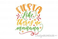 Fiesta likes there's no manana Product Image 1