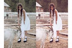 52 Matte Photoshop Actions Collection (Action for photoshop CS5,CS6,CC) Product Image 4