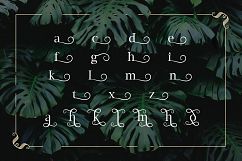 Monstera Product Image 8