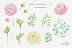 Watercolor ranunculus Product Image 2