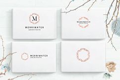 Logo Creator - Master Branding kit Product Image 21