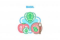 Basil Spice Vector Concept Color Illustration Product Image 1