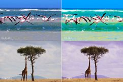 Africa Lr Presets Product Image 6
