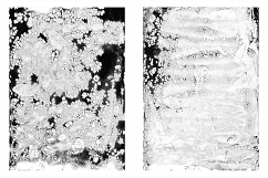 The Black Inklab Vol. 3 Product Image 4