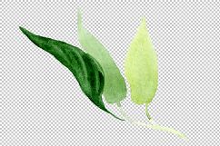 Pink brugmansia PNG watercolor set Product Image 8