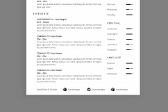 Spacious Resume / CV Product Image 3