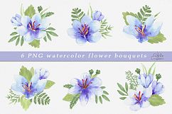 Saffron set. Watercolor. Product Image 3