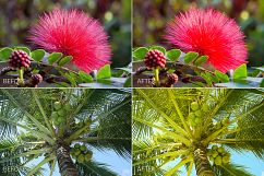 Tropical Lr Presets Product Image 10