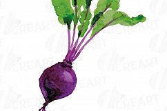 Watercolor Vegetables clip art pack, green and colorful vegetables. Healthy Food, eps png, jpg, svg, vector files included, instant download Product Image 13
