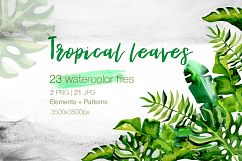 Succulent Tropical leaves PNG watercolor set Product Image 1