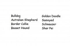 Dog Silhouette Embroidery Bundle Medium Dog Breed Set of 8 Product Image 2